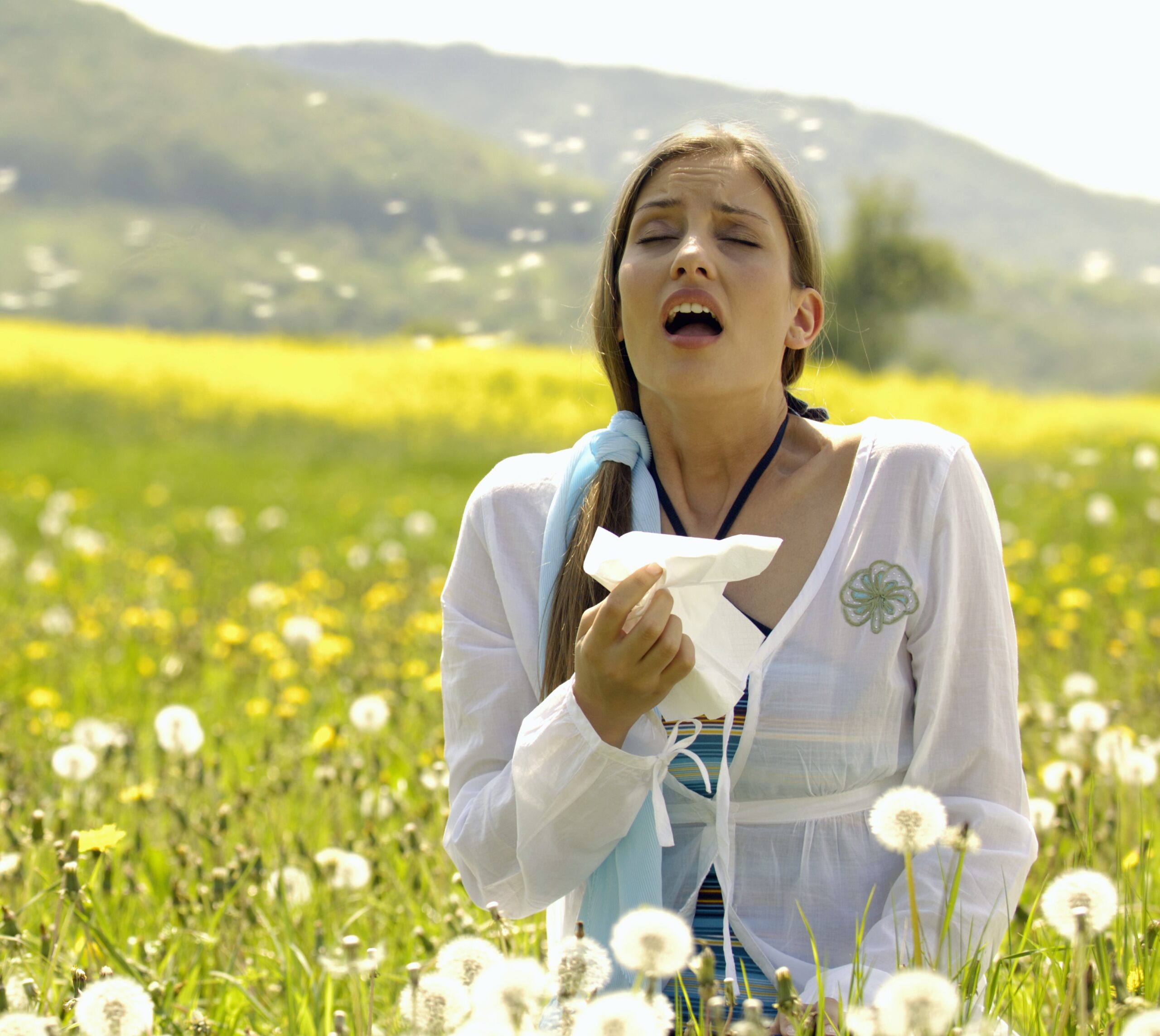 hay fever medicine